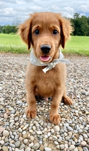 Happy